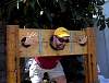 DSC00056.JPG