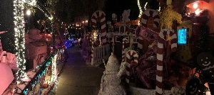IMG_4982.JPG