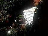 IMG_4621.JPG
